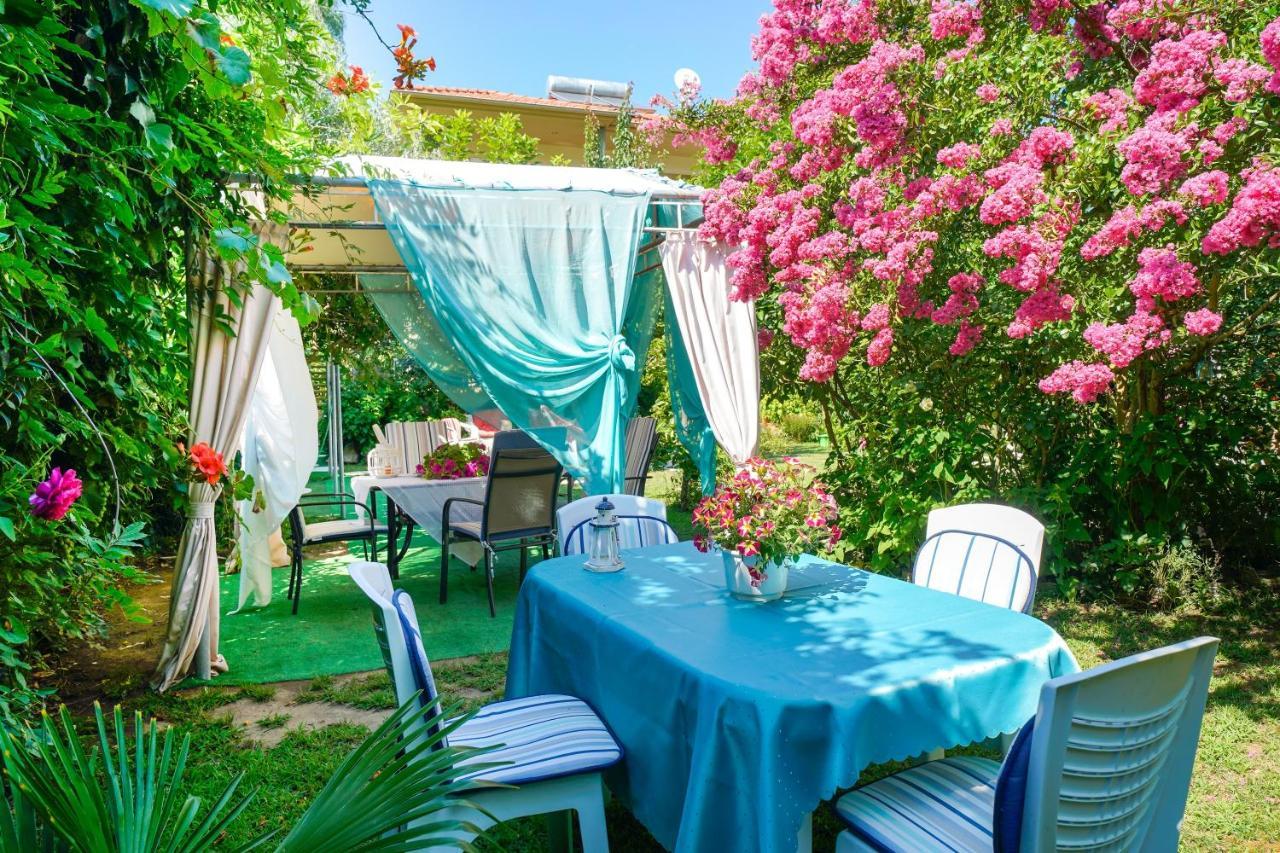 Angel Villa - Thassos Town 외부 사진